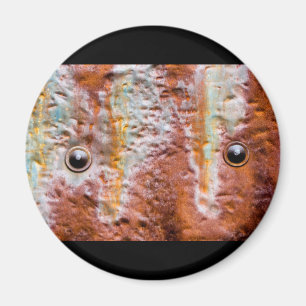 metal eyes rust magnet