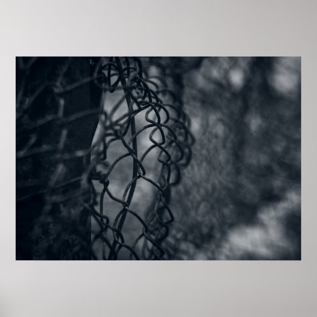 Metal fence grid fine art poster (Front)