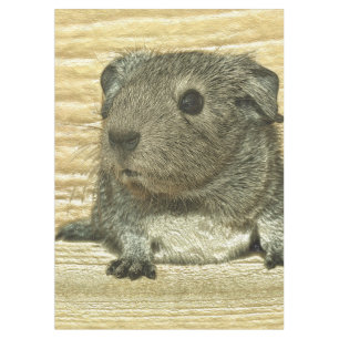 metal guinea pig tablecloth