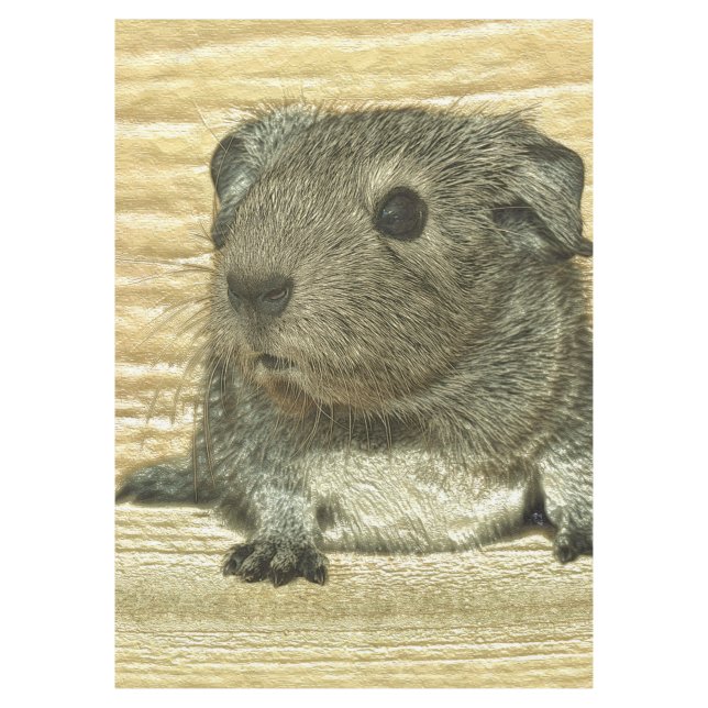 metal guinea pig tablecloth (Front)