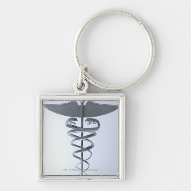 Metal medical caduceus key ring (Front)