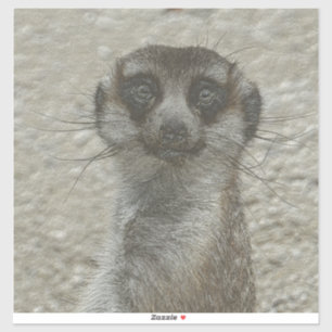 metal meerkat