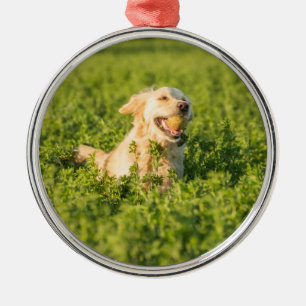 Metal Ornament with image of Golden Retriever