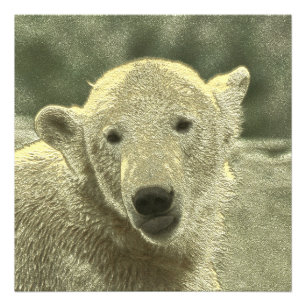 metal polar bear photo print