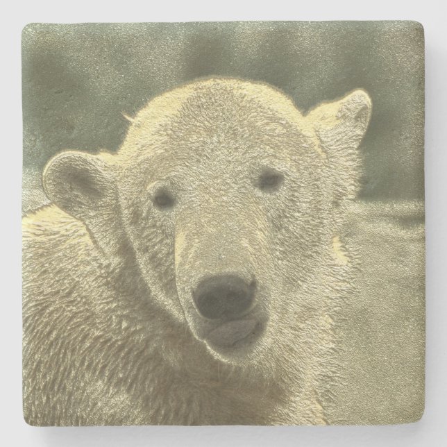 metal polar bear stone coaster (Front)