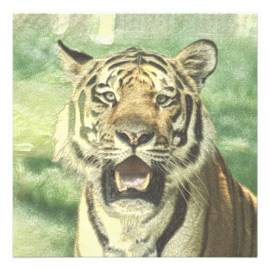 metal tiger photo print