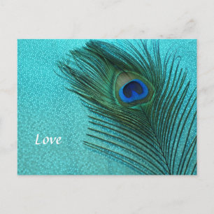 Metallic Aqua Blue Peacock Feather Postcard