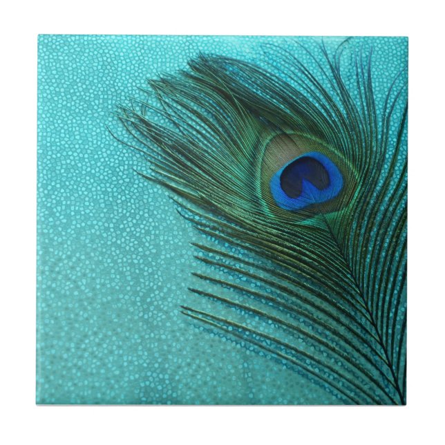 Metallic Aqua Blue Peacock Feather Tile (Front)