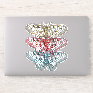 Metallic butterflies insect Bug Art