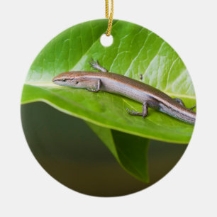 Metallic Cool Skink Niveoscincus Metallicus Ceramic Ornament