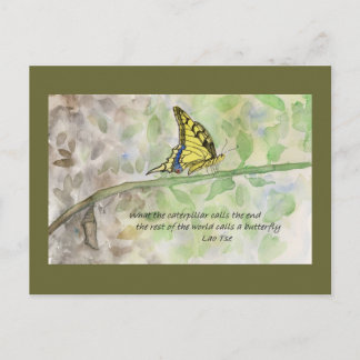 Metamorphosis_2 postcard