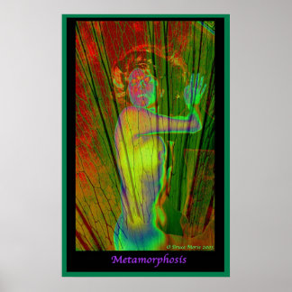 Metamorphosis Poster