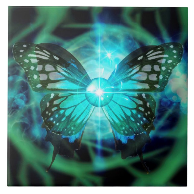 MetaMorphysical Large (6" X 6") Ceramic Photo Tile (Front)