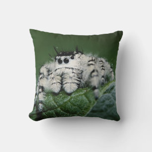 Metaphid Jumping Spider Cushion