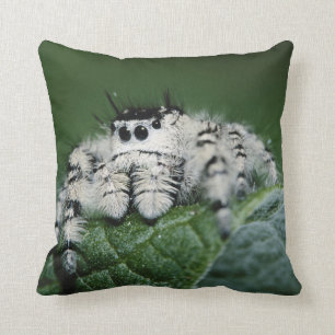 Metaphid Jumping Spider Cushion