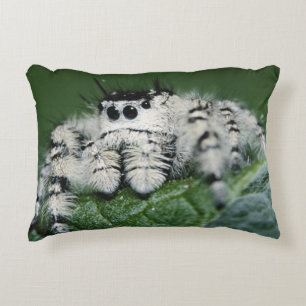 Metaphid Jumping Spider Decorative Cushion