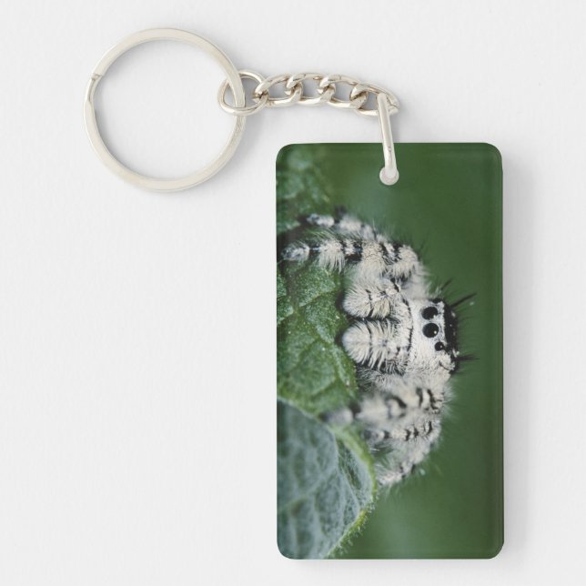 Metaphid Jumping Spider Key Ring (Front)