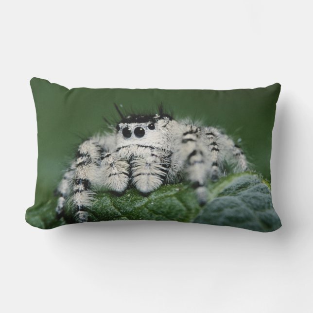 Metaphid Jumping Spider Lumbar Cushion (Front)