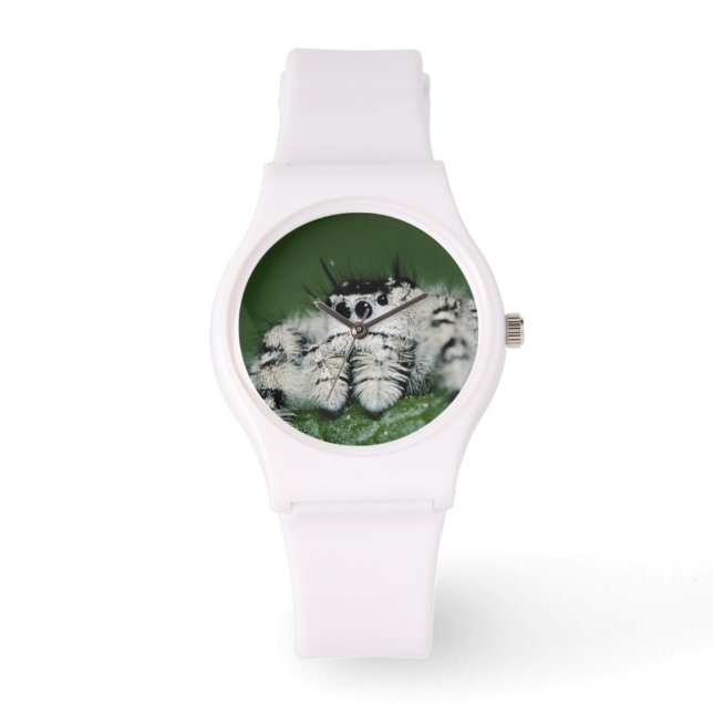 Metaphid Jumping Spider Watch (Front)