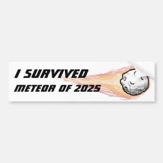 Meteor 2025 bumper sticker