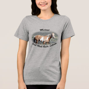 Meteor of Sand Wash Basin Tri-Blend Shirt