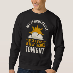 Meteorologist Weather Forecast Meteorology Pun Vin Sweatshirt