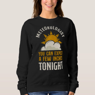 Meteorologist Weather Forecast Meteorology Pun Vin Sweatshirt