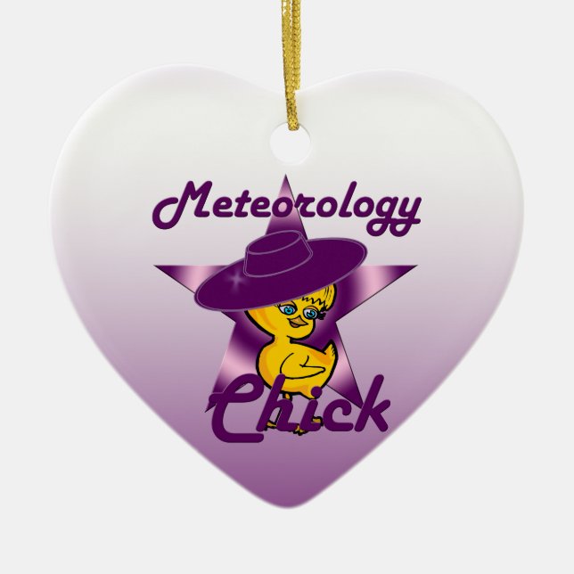 Meteorology Chick #9 Ceramic Ornament (Front)