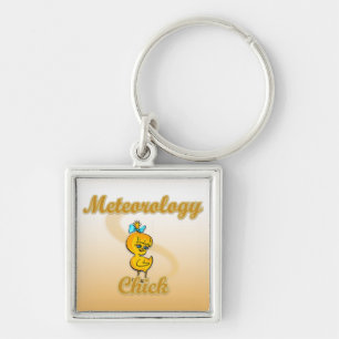 Meteorology Chick Key Ring