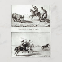 Methods of Throwing the Lasso and the Bolas