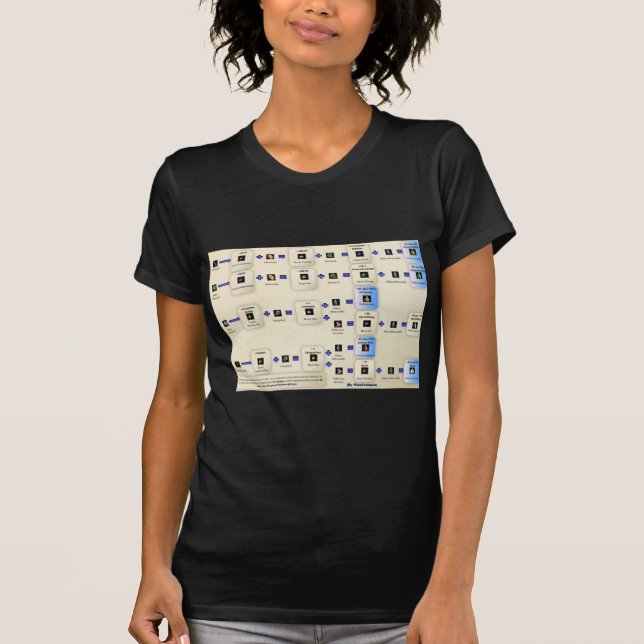 Metin2 alxeimia T-Shirt (Front)