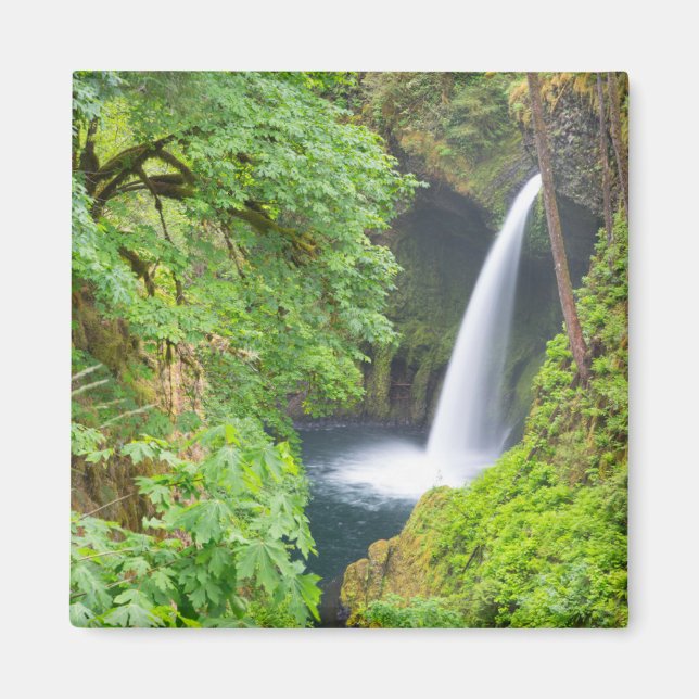 Metlako Falls Magnet (Front)