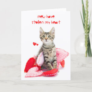 Mew stole my heart kitten valentine holiday card