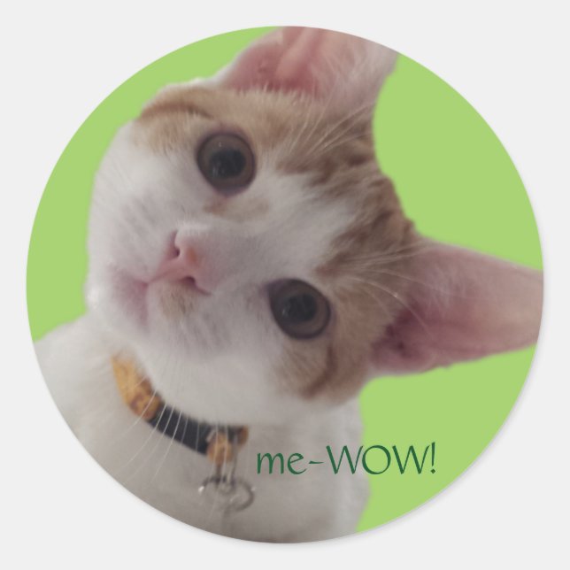 meWOW Curious Cat Good Job Customisable Sticker (Front)