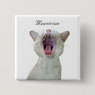 Mewsician square button
