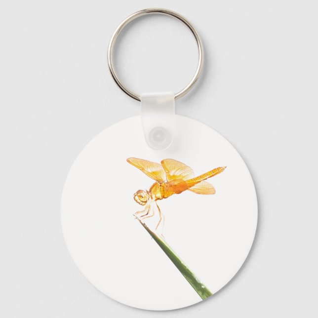 Mexican amber-wing dragonfly key ring (Front)