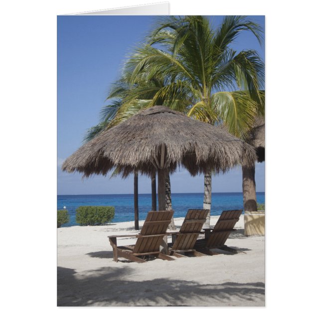 Mexican Beach Paradise (Front)