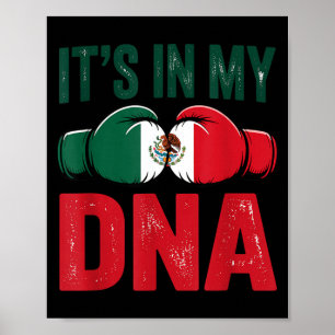 Mexican Boxing Gloves Fighter Los Guantes De Boxeo Poster