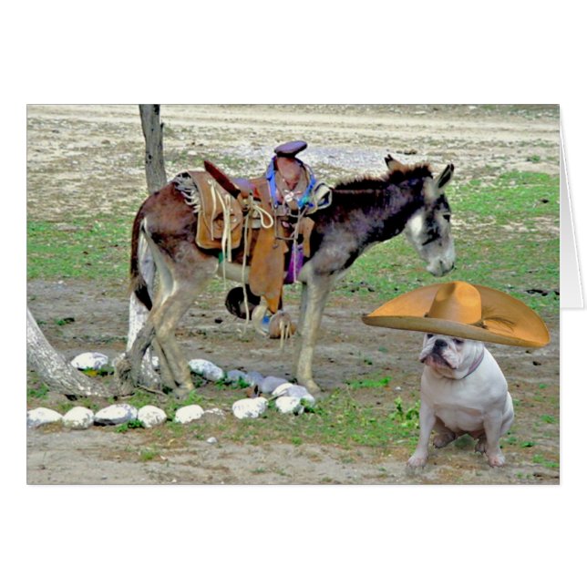 Mexican Bulldog (Front Horizontal)