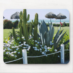 Mexican Cacti Mouse Pad