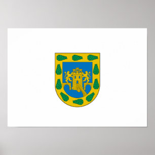 Mexican Federal District Poster