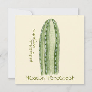 Mexican Fencepost cactus greeting card