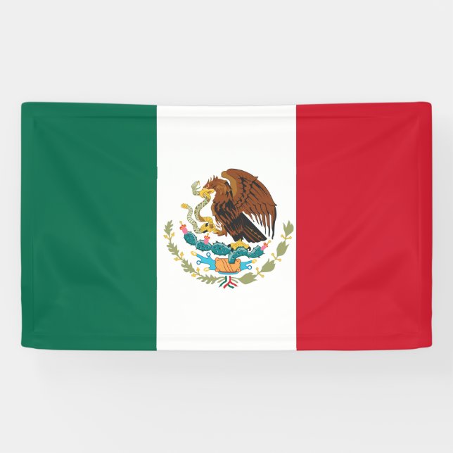 Mexican Flag Banner (Horizontal)
