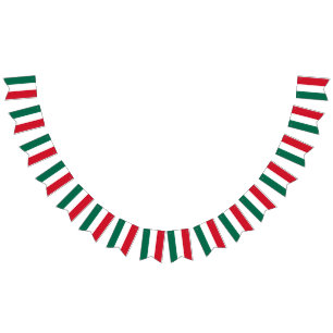 Mexican Flag coloured Bunting Banner