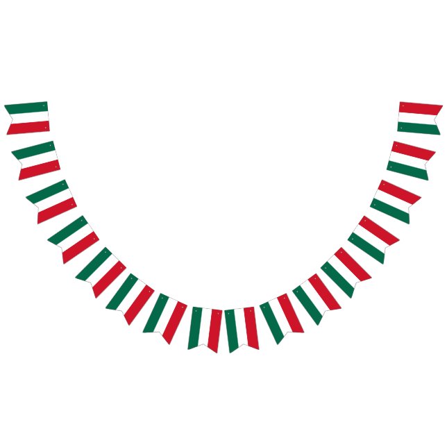 Mexican Flag coloured Bunting Banner (All)