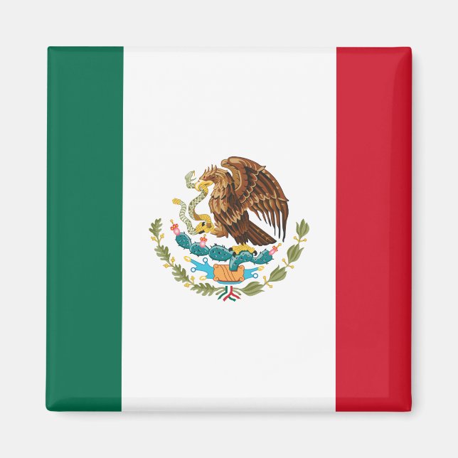 Mexican Flag - Flag of Mexico Magnet (Front)