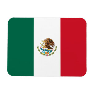 Mexican Flag Magnet