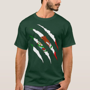 Mexican Flag Mexico T-Shirt