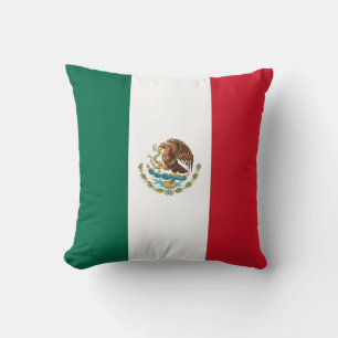 Mexican Flag on American MoJo Pillow