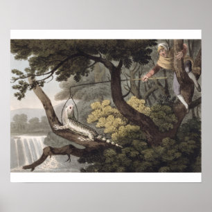 Mexican Lizard Catcher, engraved by Matthew Dubour Poster